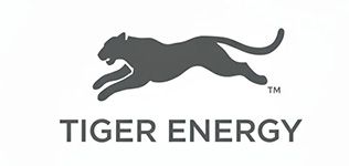 Tiger Energy Group